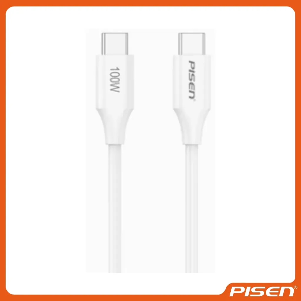 MR WHITE CABLE USB-C A USB-C PD100W 1000MM (BLANCO) - PISEN | Dolphincel